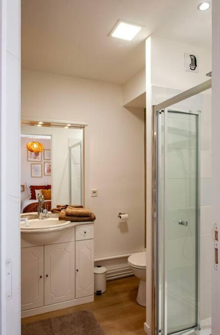 Le Cocoon - Appartement Dans Maison Du Xviieme Siecle Fougères Buitenkant foto